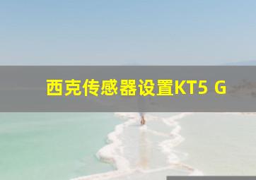 西克传感器设置KT5 G